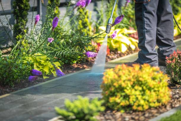Trusted Conrad, IA  Pressure Washing Services Experts